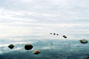 Талабские острова. Берег Псковского озера. Фото Ю.Гольцера.